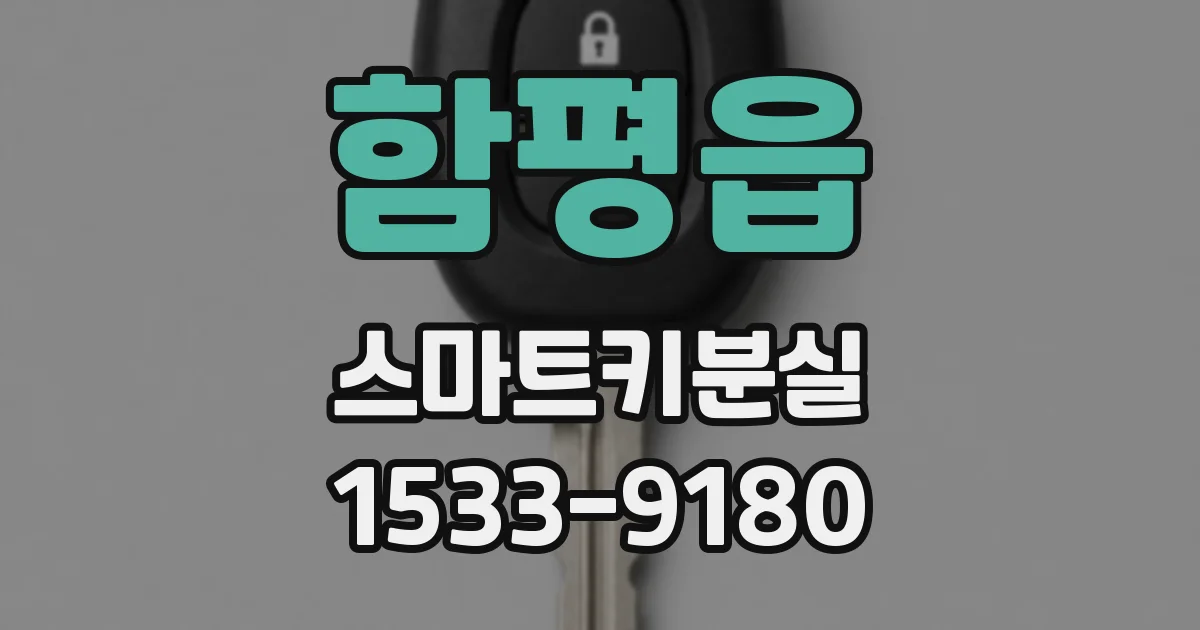 함평읍 스마트키분실
