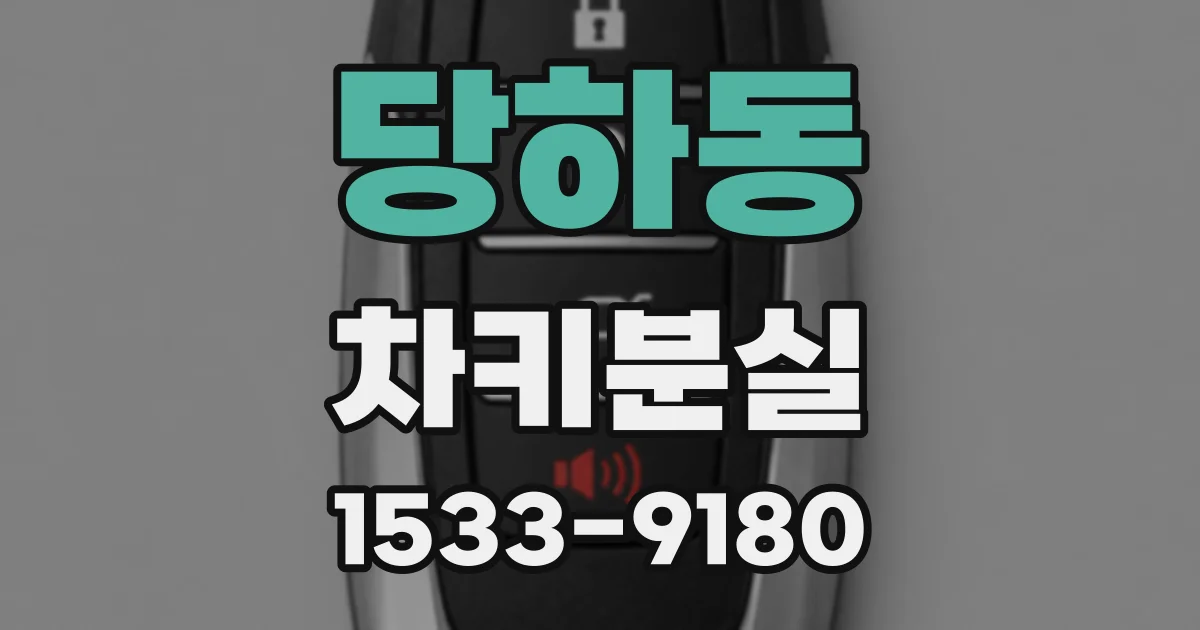 당하동 차키분실