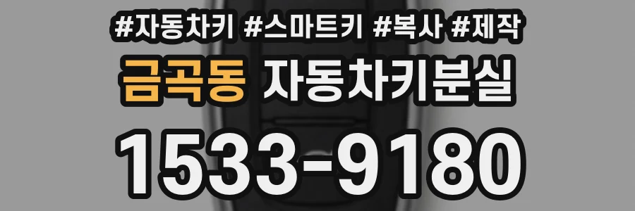 금곡동 자동차키분실