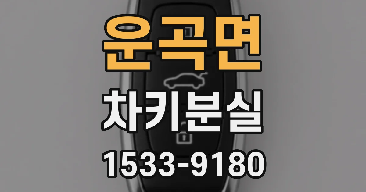 운곡면 차키분실