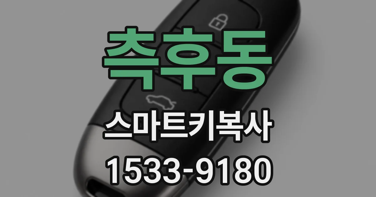 측후동 스마트키복사