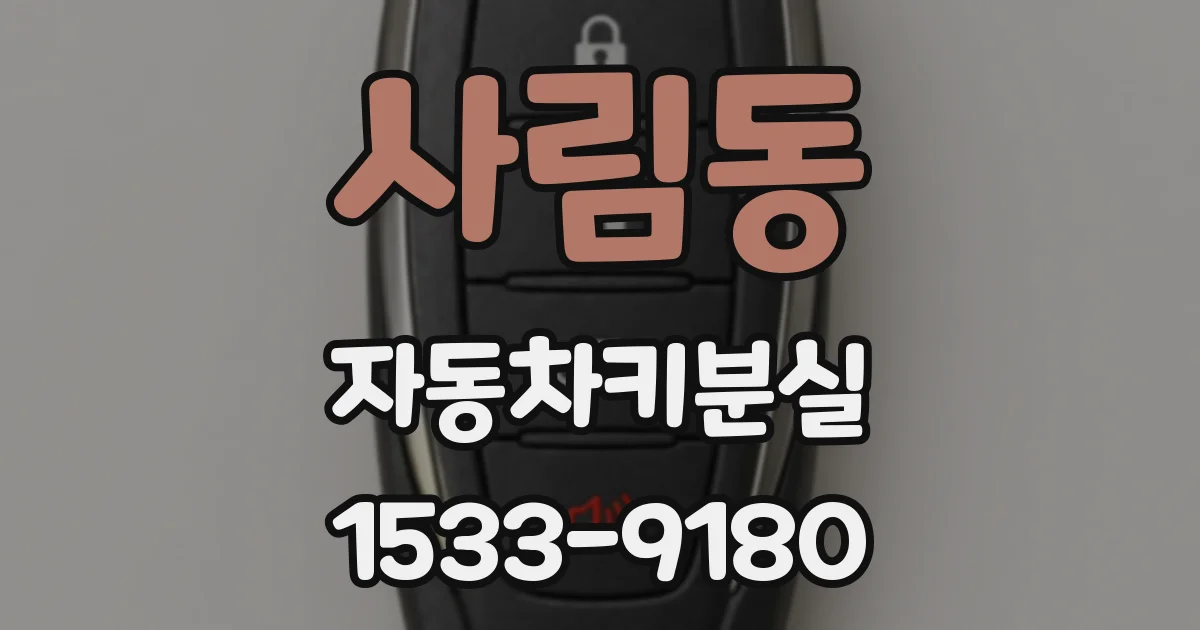 사림동 자동차키분실