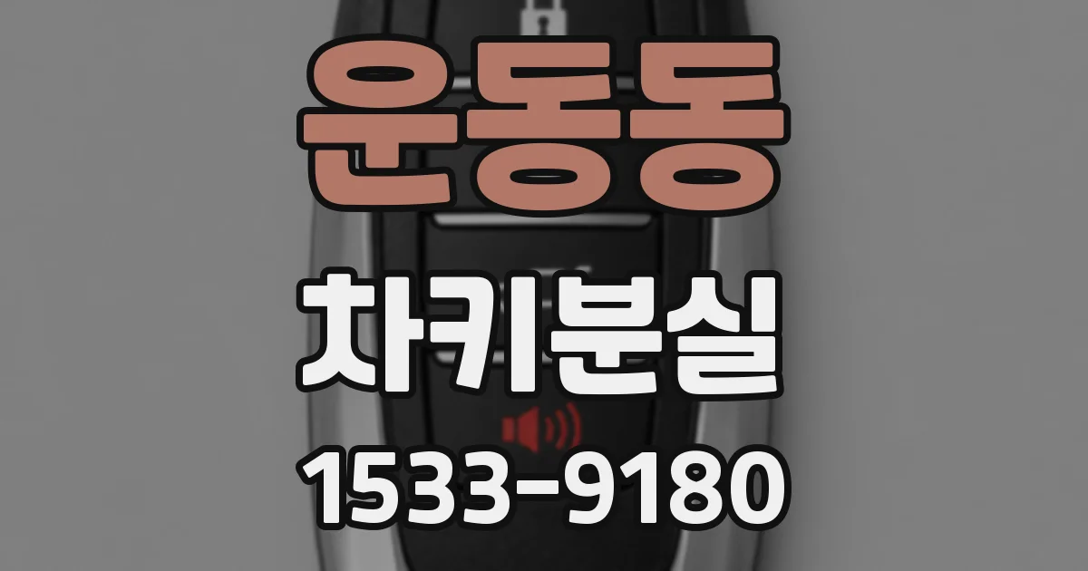 운동동 차키분실