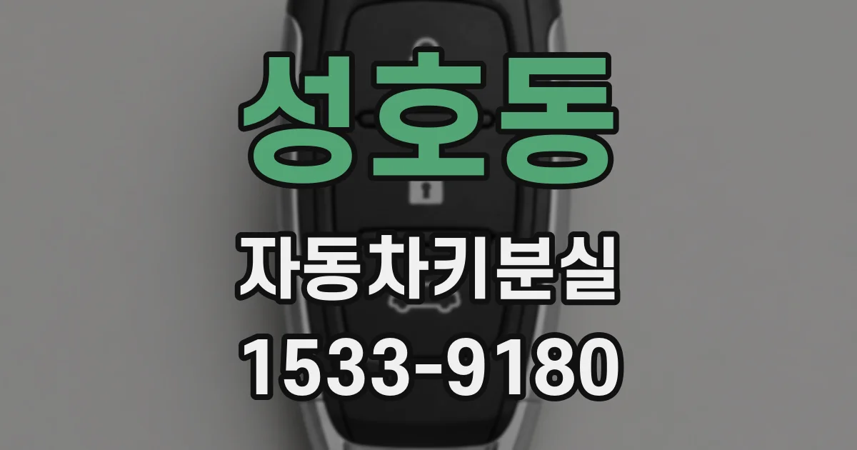 성호동 자동차키분실