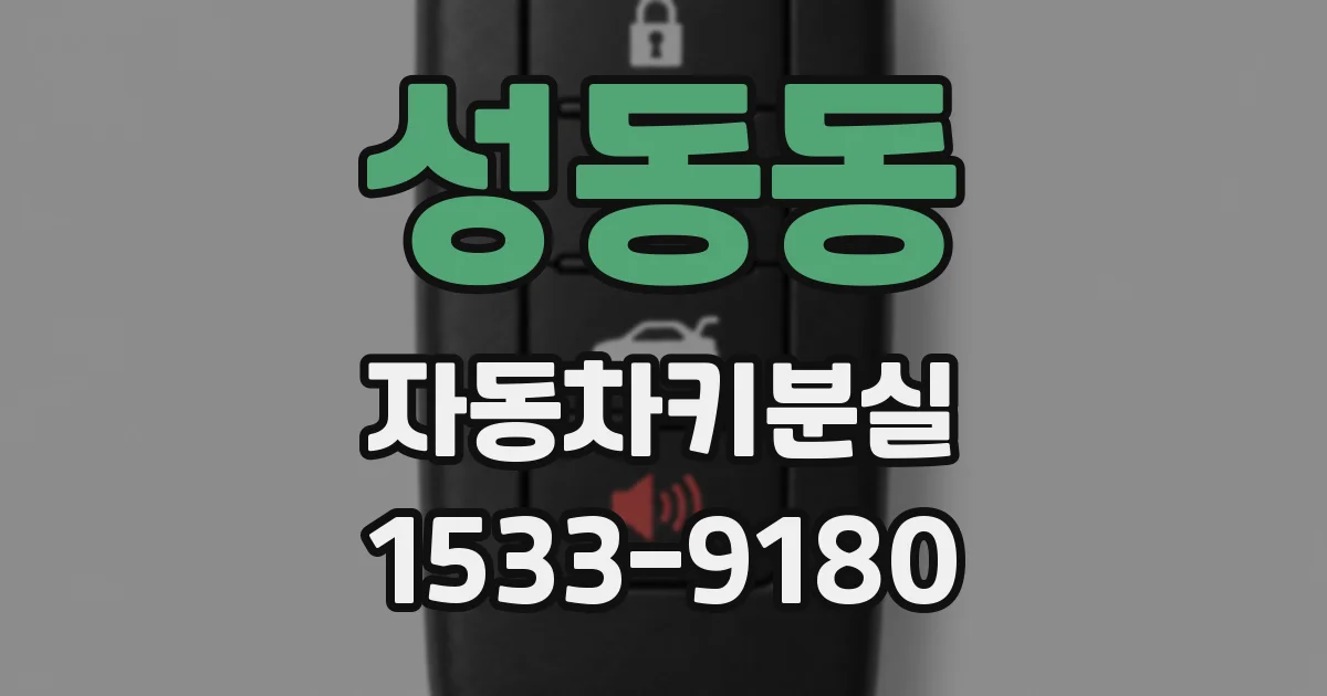 성동동 자동차키분실