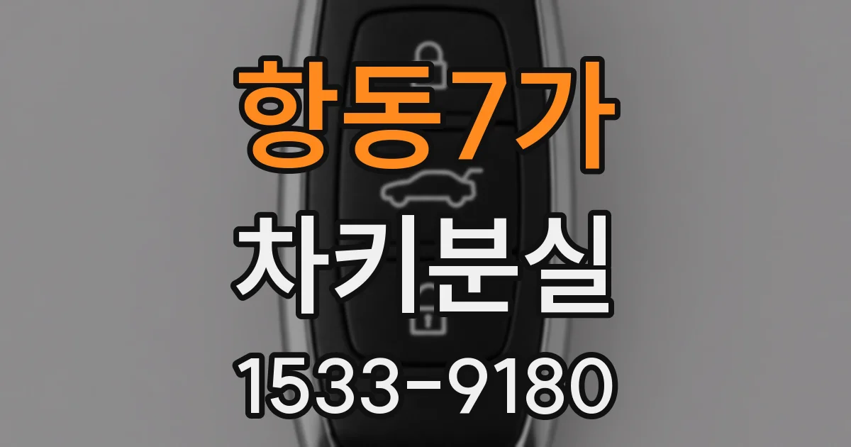 항동7가 차키분실
