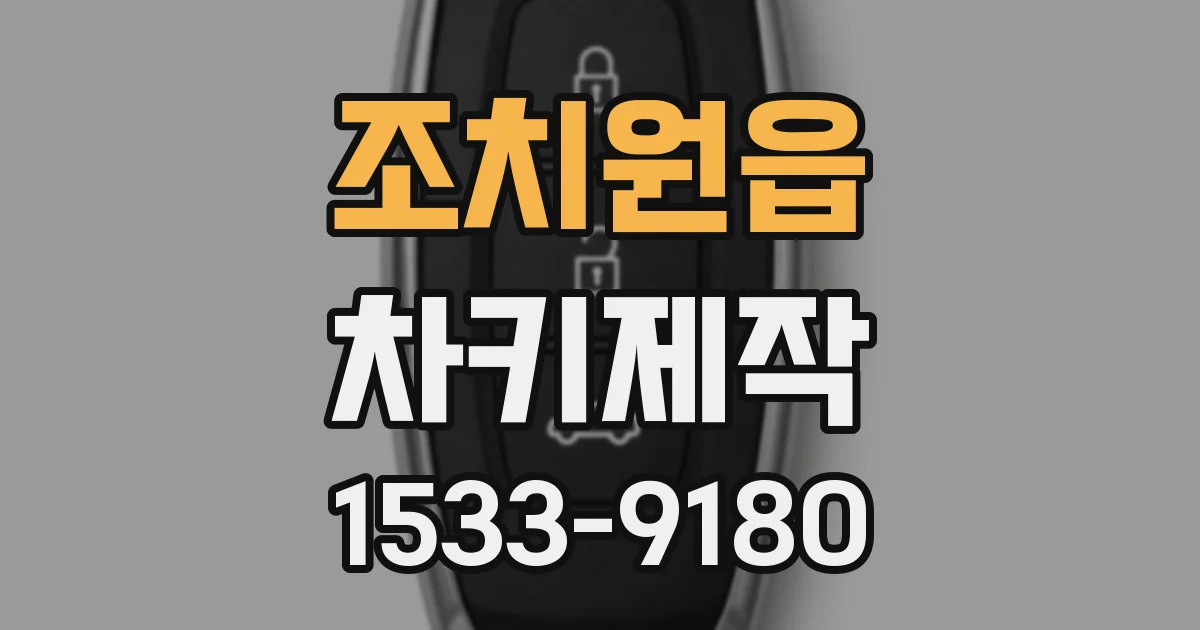 조치원읍 차키제작
