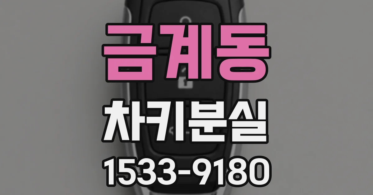 금계동 차키분실