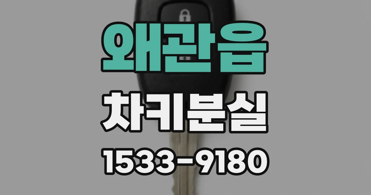 왜관읍 차키분실