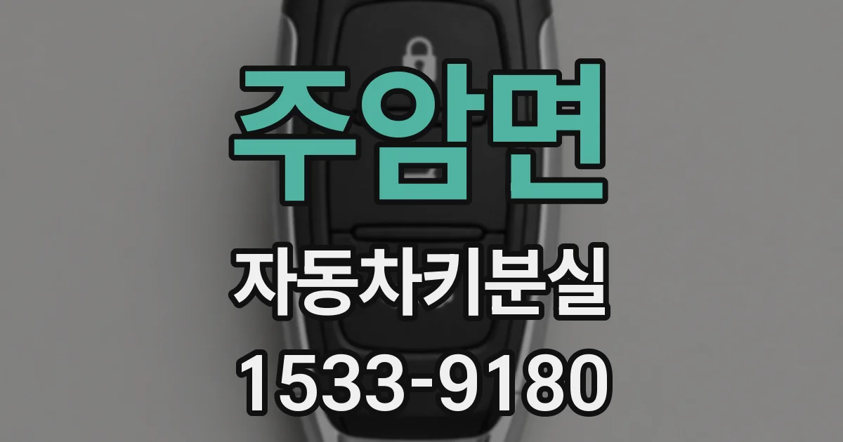 주암면 자동차키분실