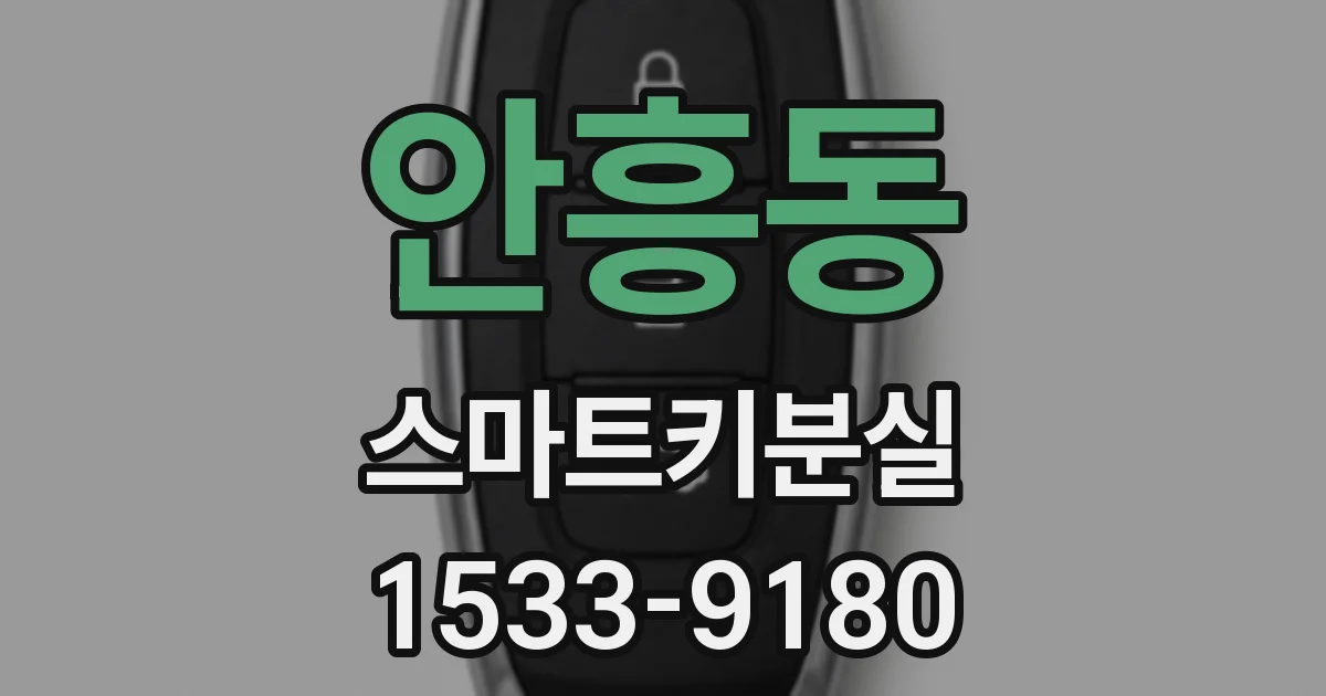 안흥동 스마트키분실
