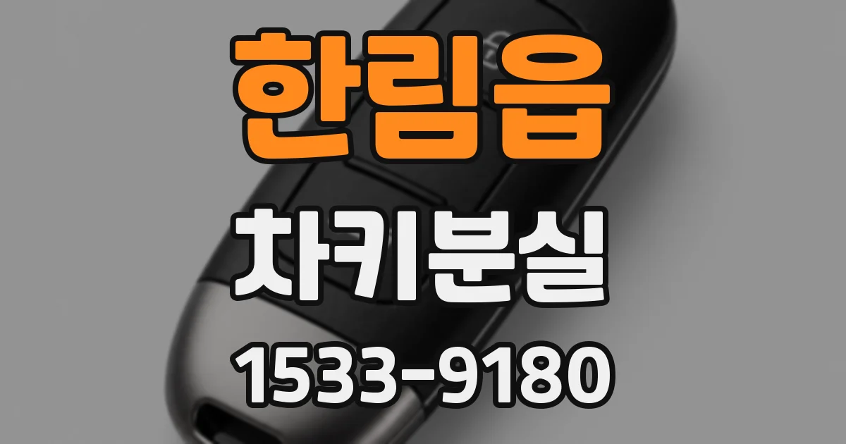 한림읍 차키분실