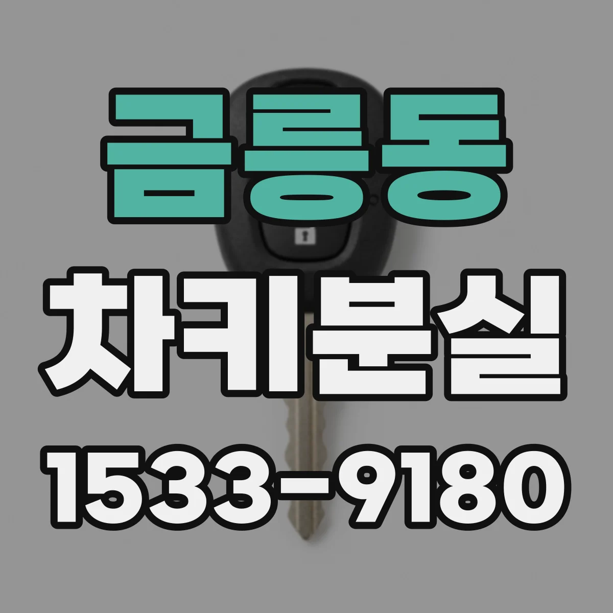 금릉동 차키분실