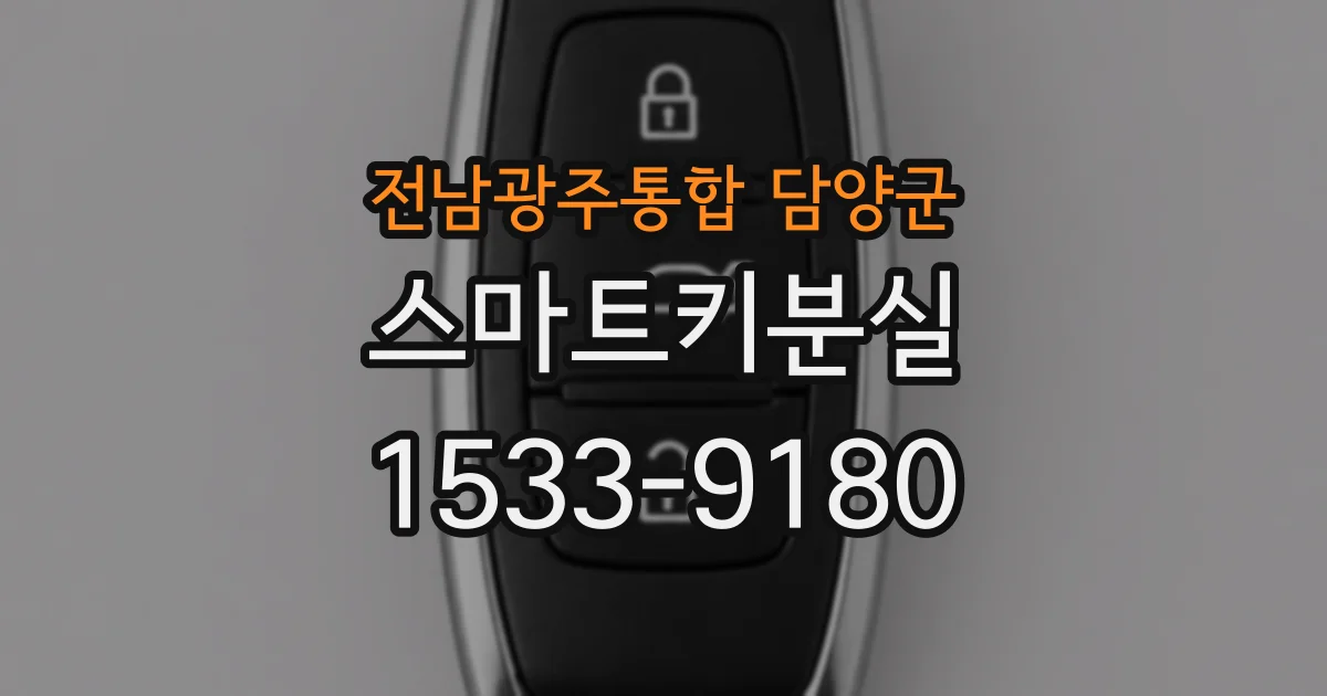 전남광주통합 담양군 스마트키분실
