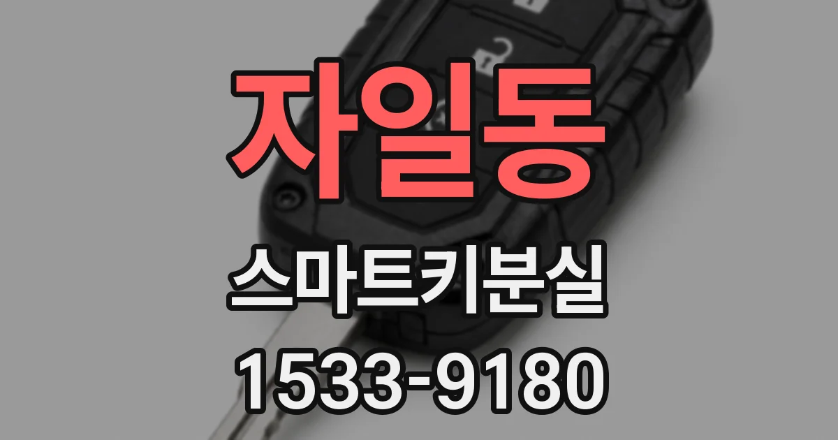 자일동 스마트키분실