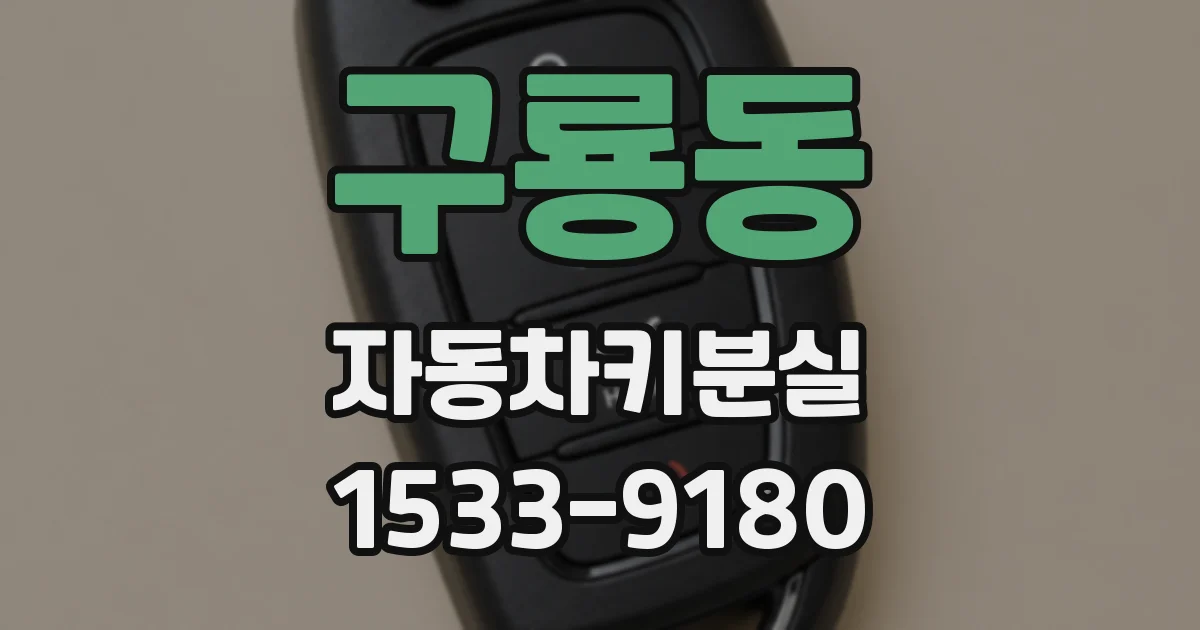 구룡동 자동차키분실