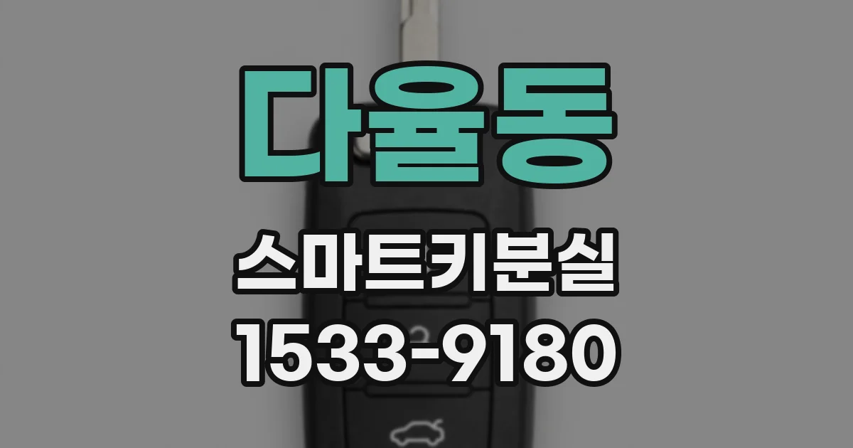 다율동 스마트키분실