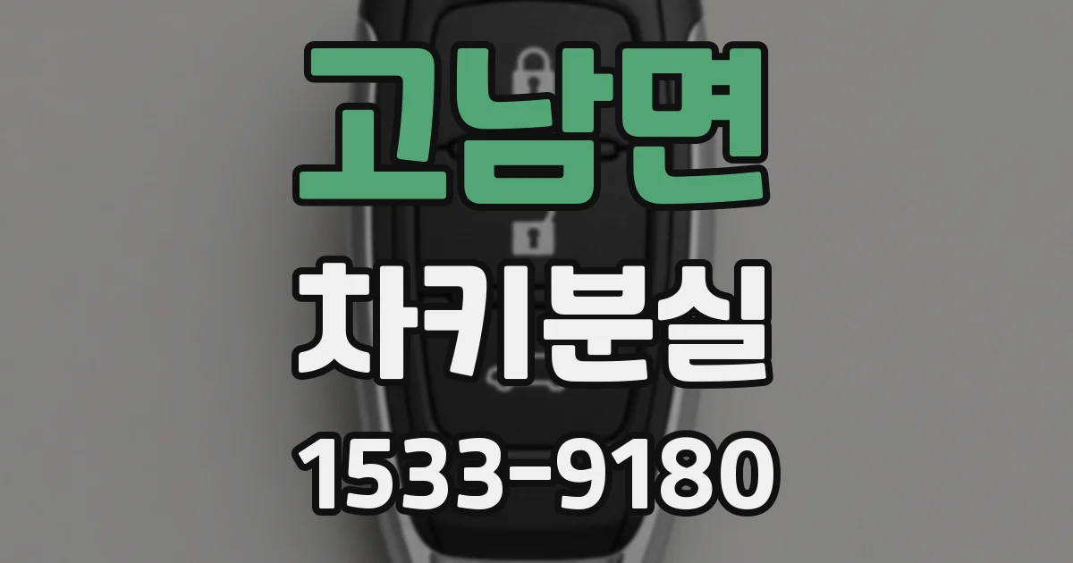 고남면 차키분실