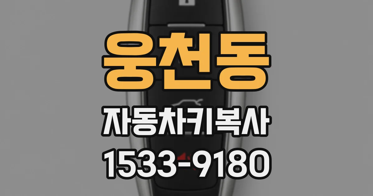 웅천동 자동차키복사