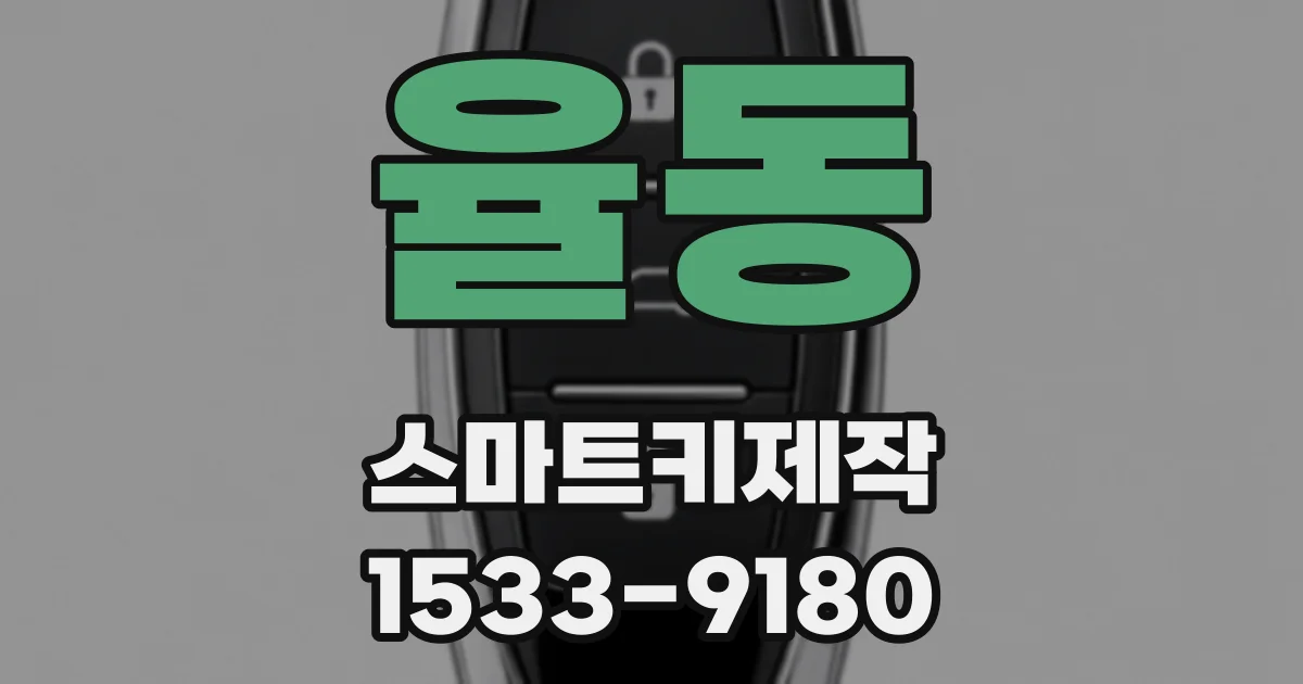 율동 스마트키제작