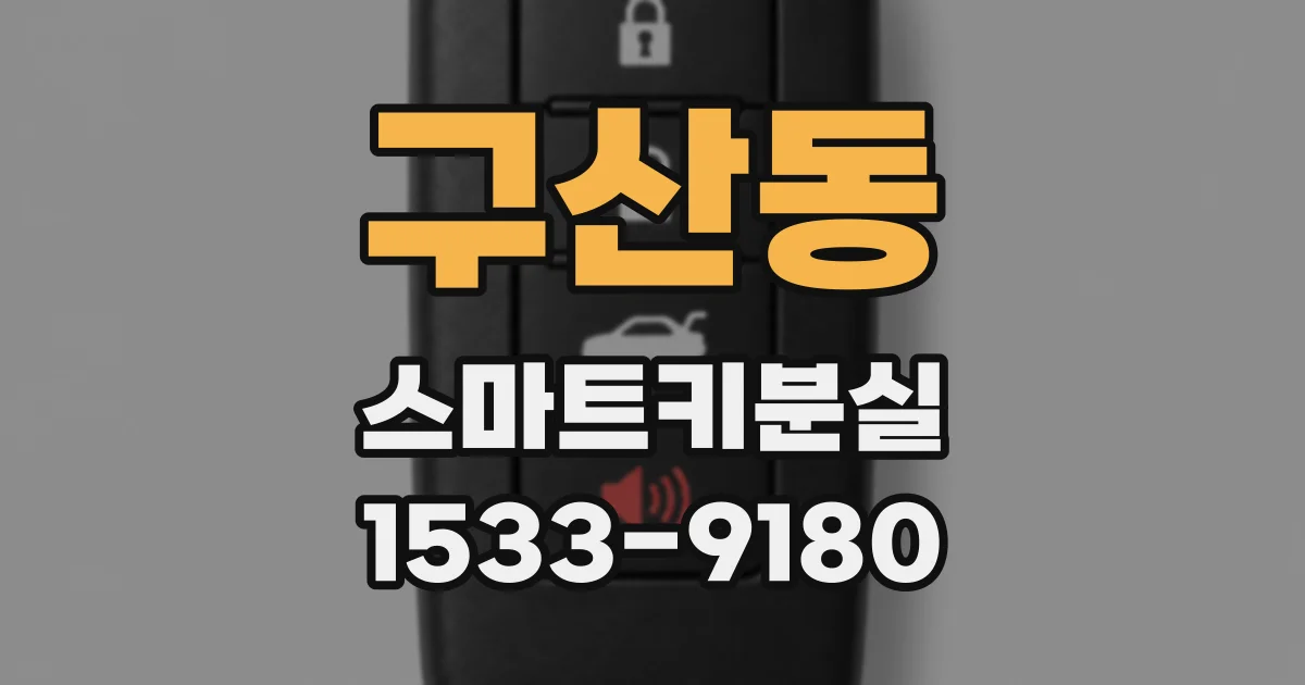 구산동 스마트키분실