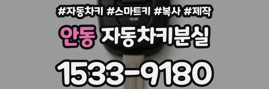 안동 자동차키분실