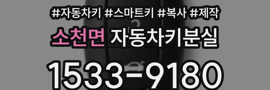 소천면 자동차키분실
