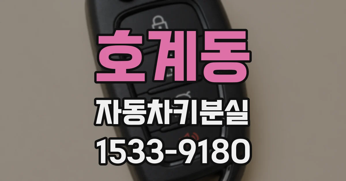 호계동 자동차키분실