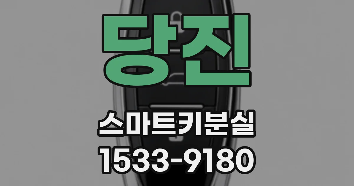 당진 스마트키분실