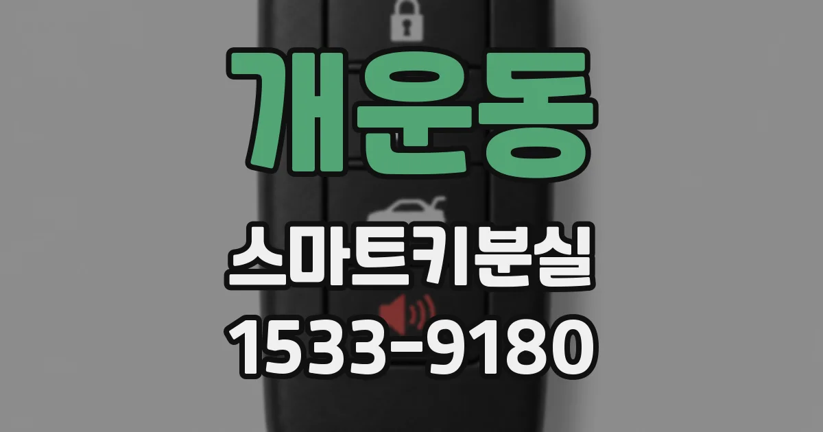 개운동 스마트키분실