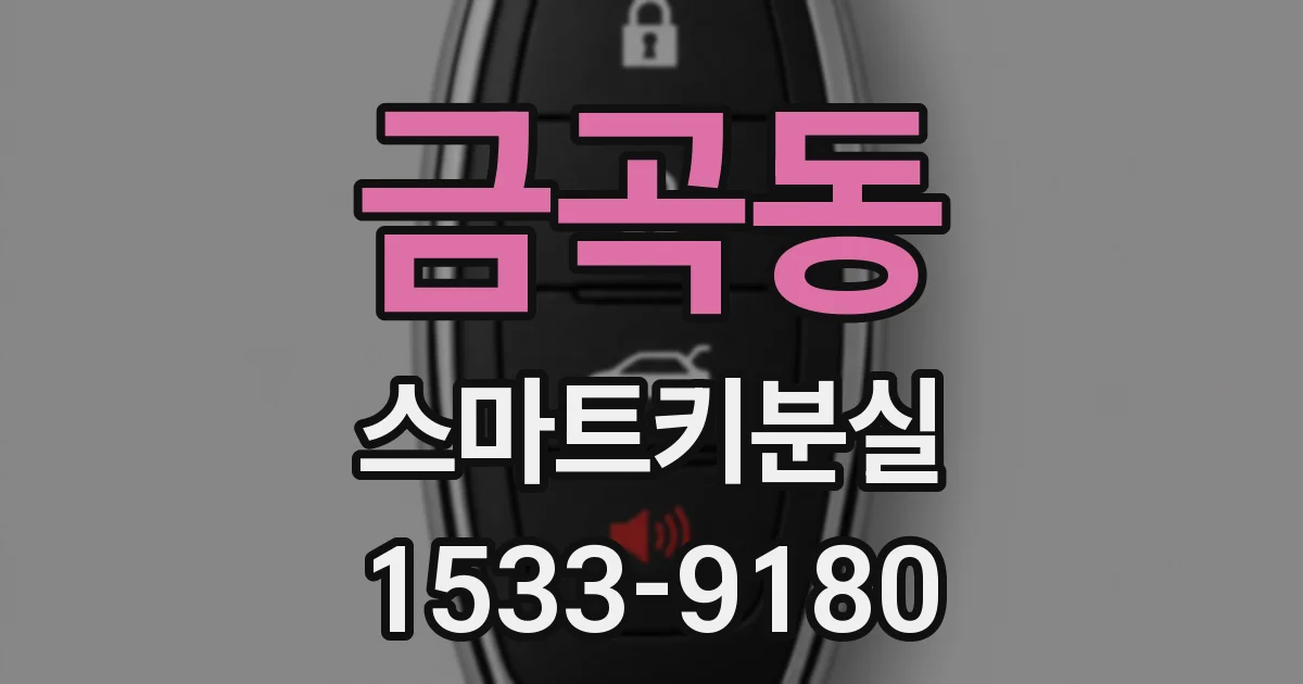 금곡동 스마트키분실