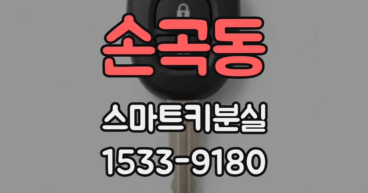 손곡동 스마트키분실