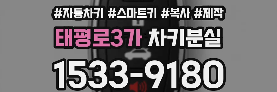 태평로3가 차키분실