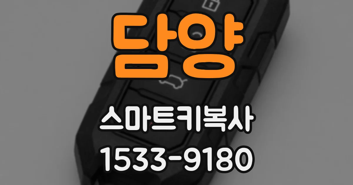 담양 스마트키복사