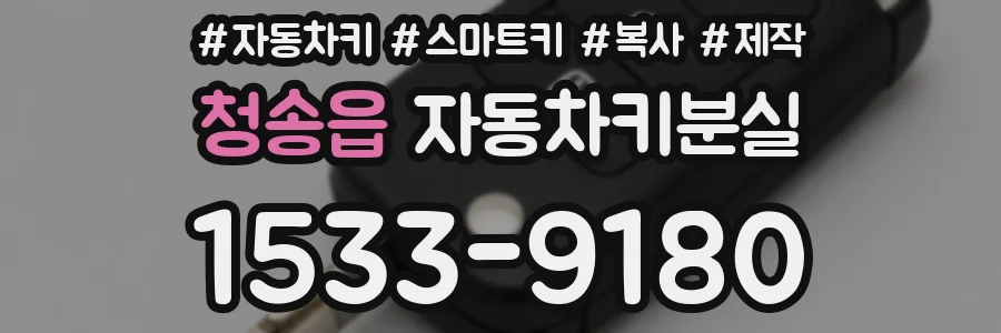 청송읍 자동차키분실