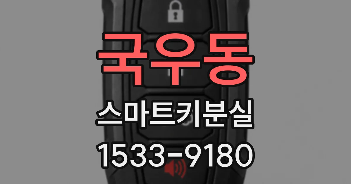 국우동 스마트키분실