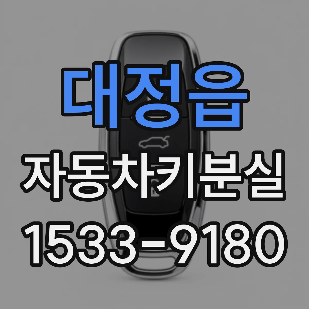 대정읍 자동차키분실