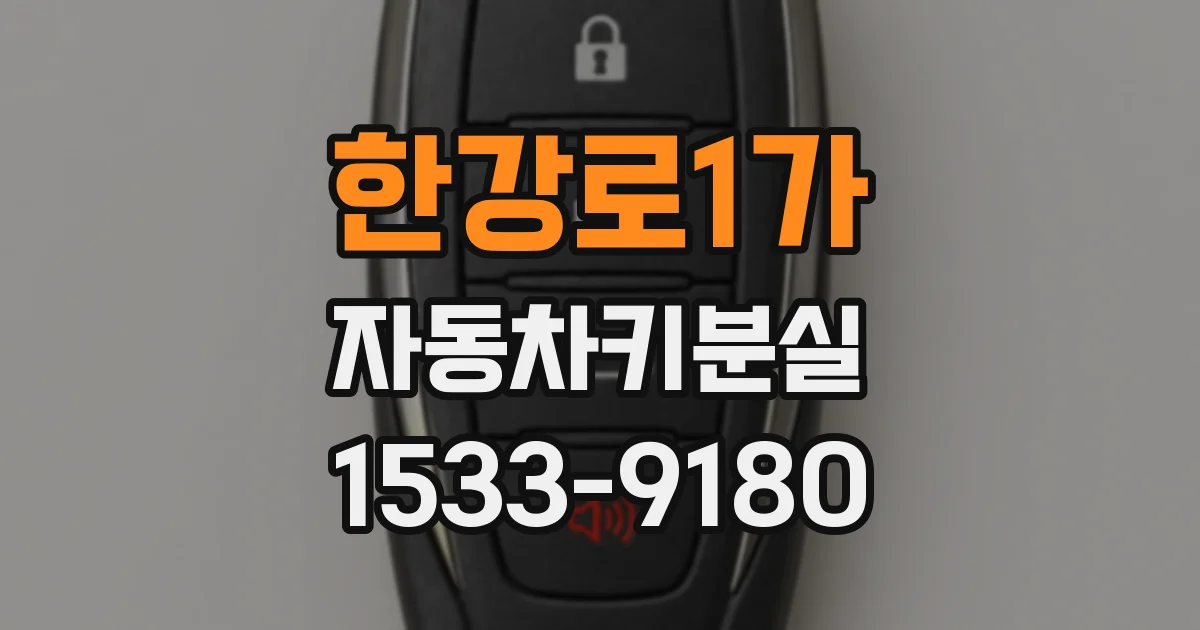 한강로1가 자동차키분실