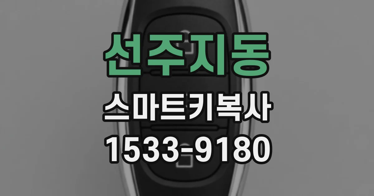 선주지동 스마트키복사