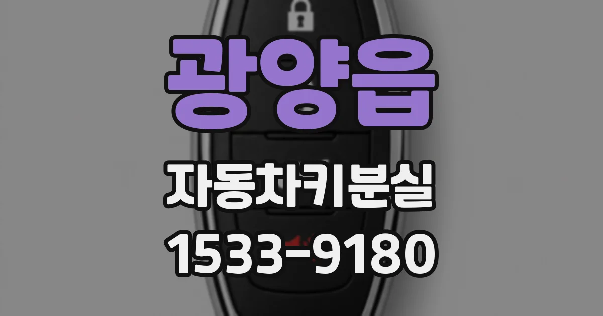 광양읍 자동차키분실