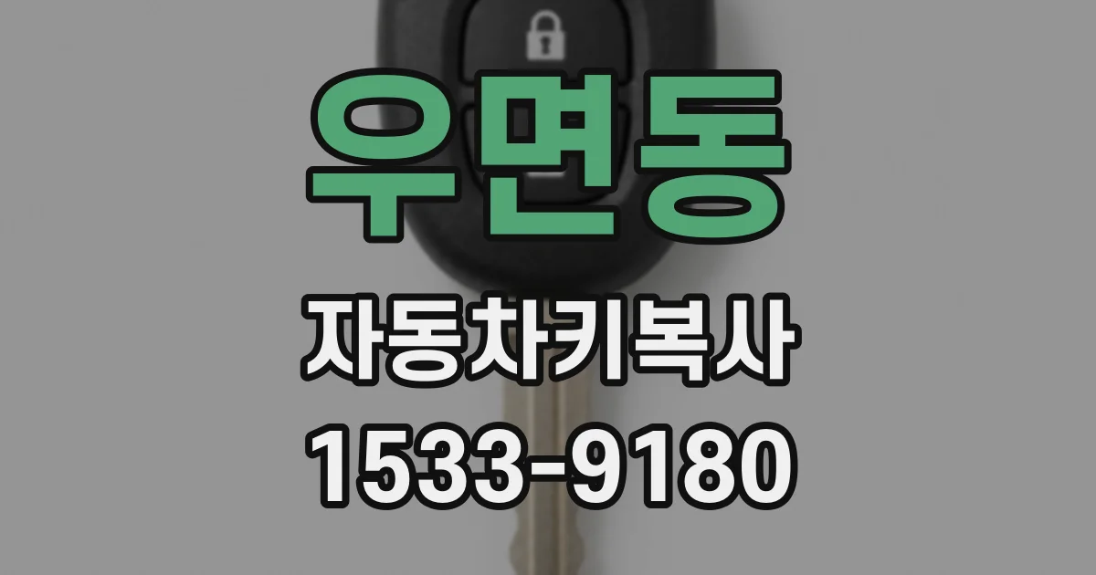 우면동 자동차키복사