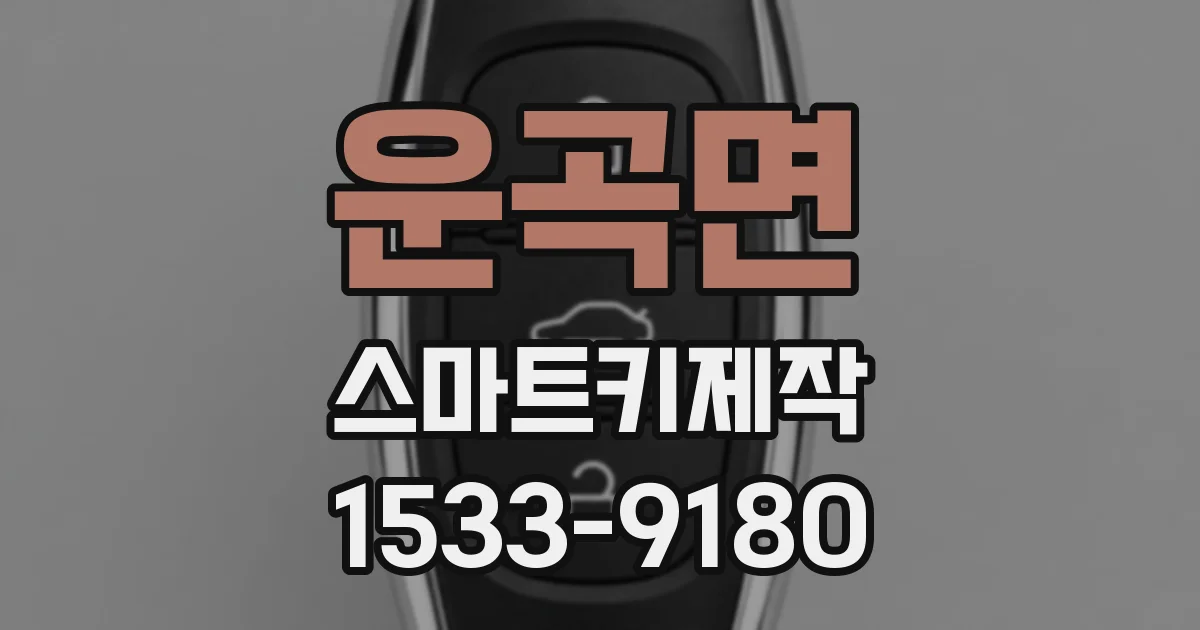 운곡면 스마트키제작