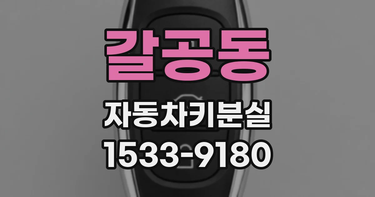 갈공동 자동차키분실
