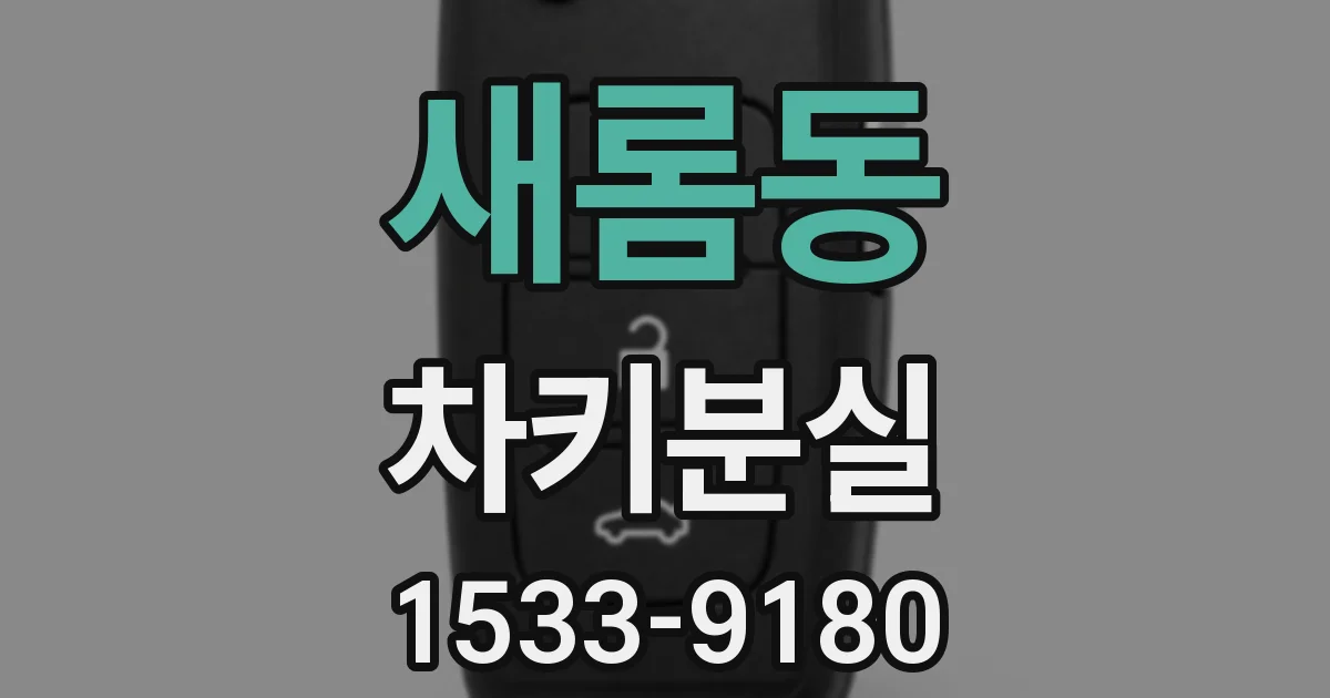 새롬동 차키분실