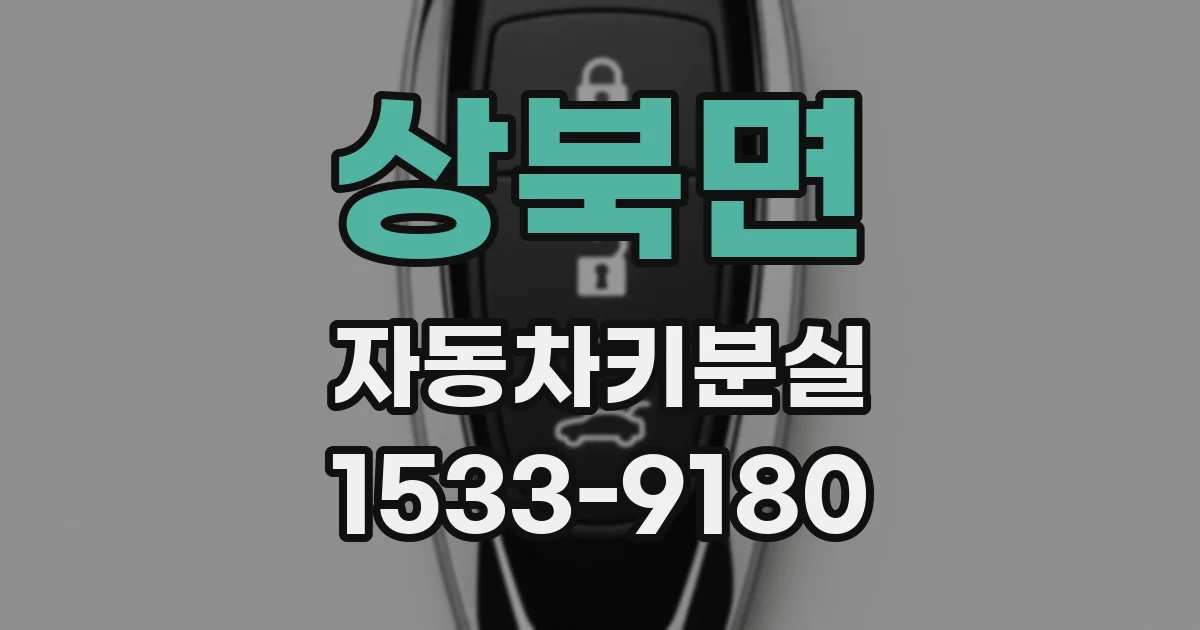 상북면 자동차키분실