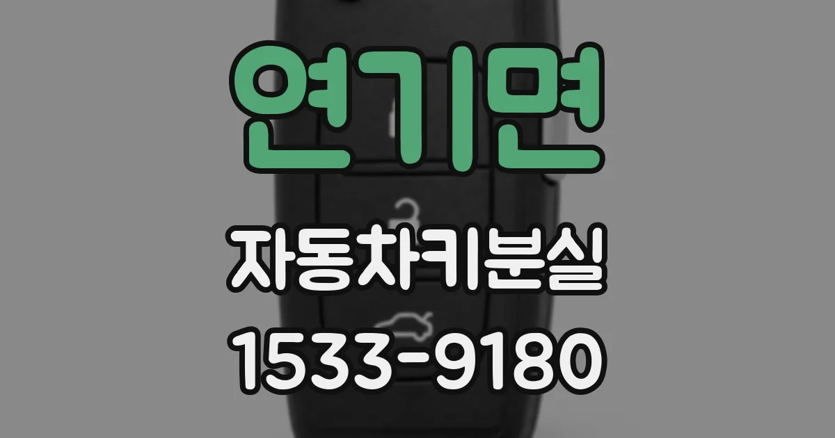 연기면 자동차키분실