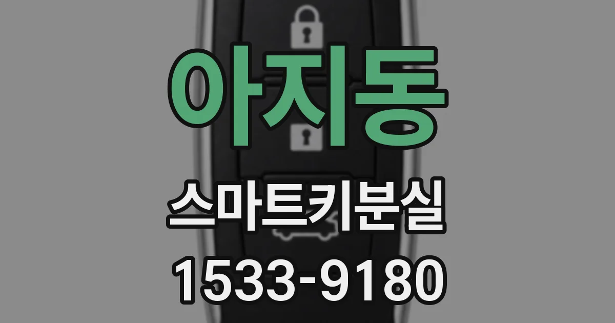 아지동 스마트키분실