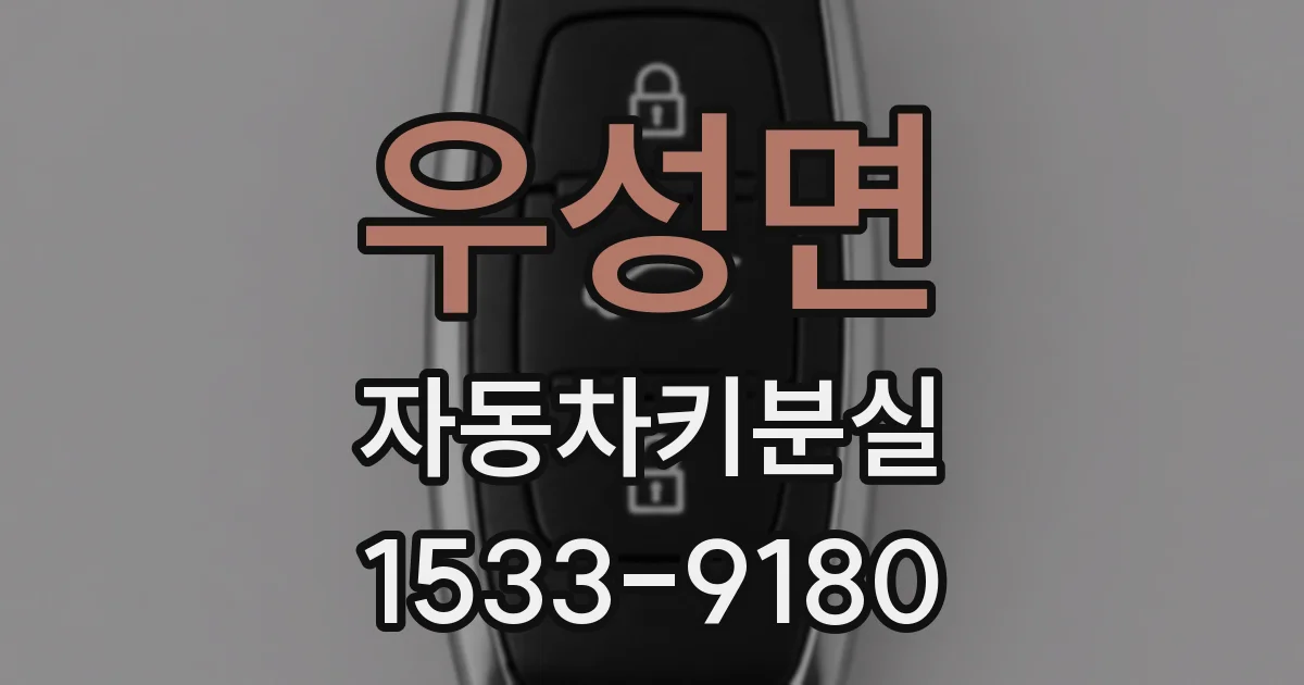 우성면 자동차키분실