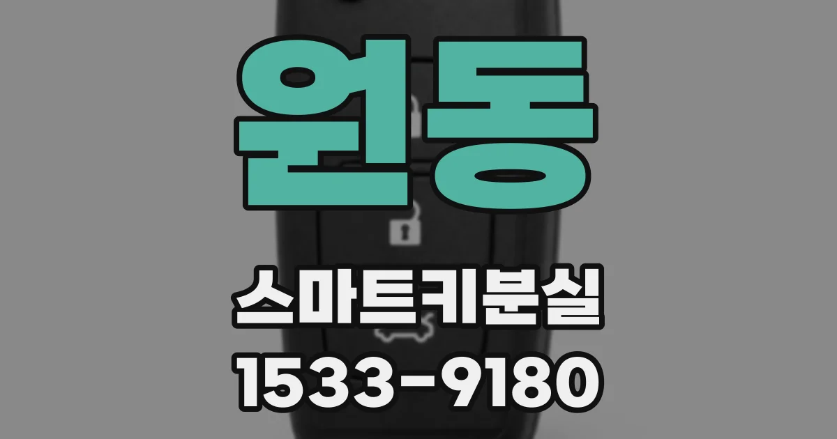 원동 스마트키분실
