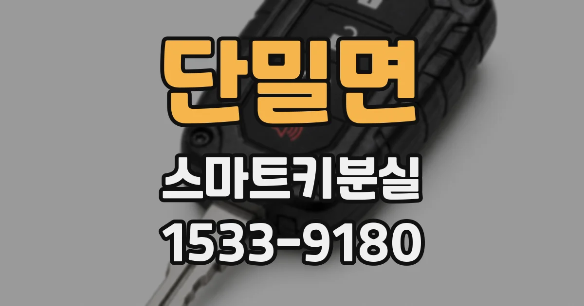 단밀면 스마트키분실